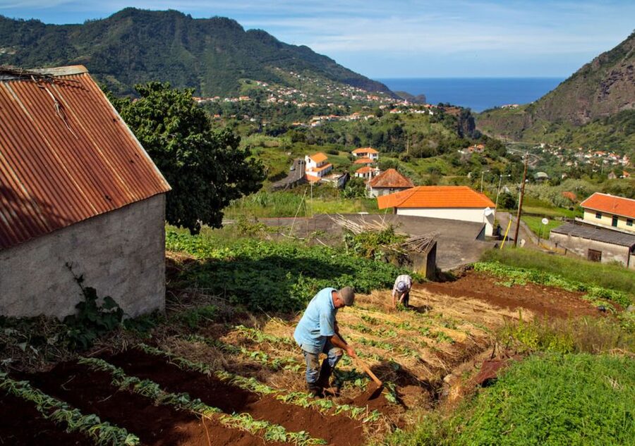Madeira: The Best of South Jeep Tour - Off-Roading on Paul da Serra: More Fun Than Fear