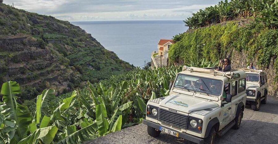 Madeira: The Best of South Jeep Tour - Price and Value: What $68 Buys You in an 8-Hour 4x4 Day