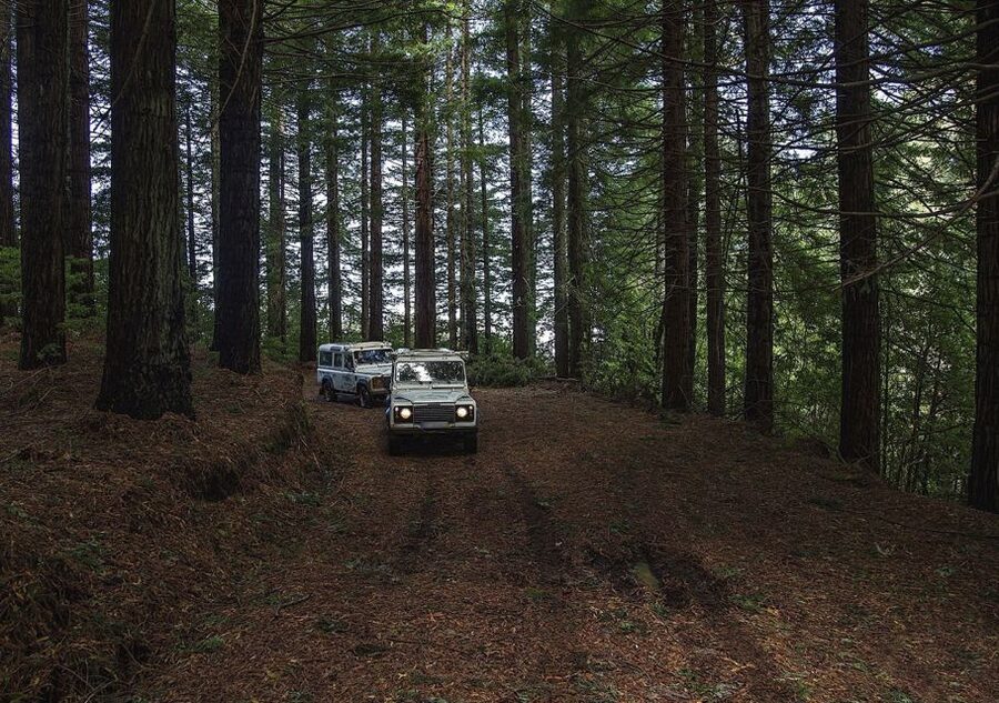 Madeira: The Enchanting North - Driver/Guide Language and What Makes This Tour Feel Personal