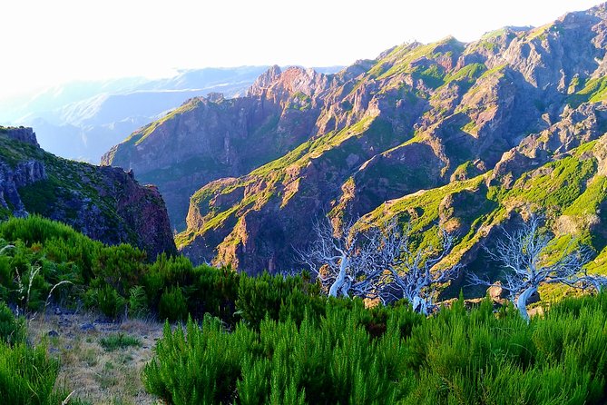 Madeira Top Sunrise - The 4:00am plan: distance, pace, and the real timing