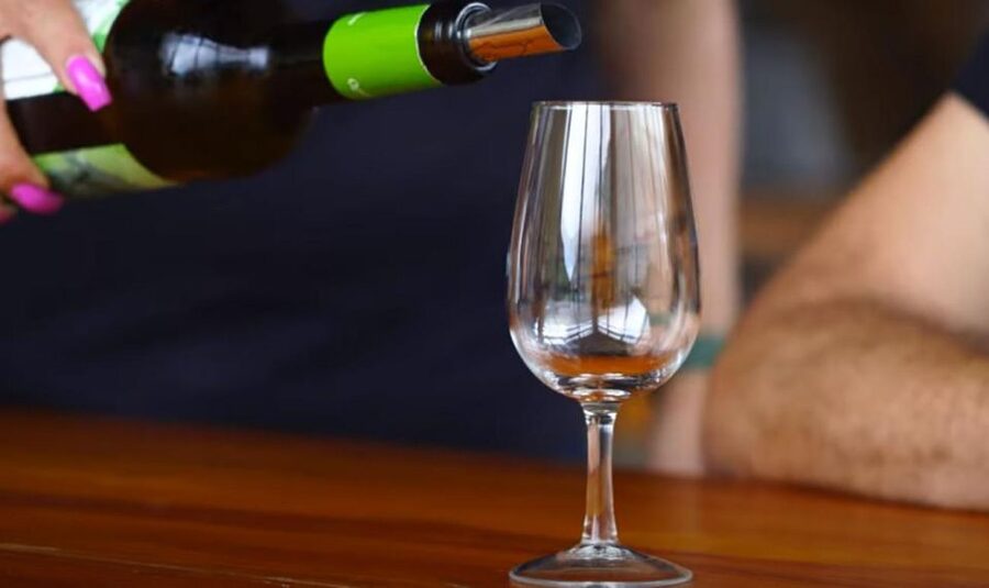 Madeira: Vineyard Tour w/ Wine Tasting & Skywalk - A 4-hour Madeira mix that feels efficient (and not rushed)