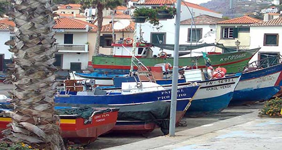 Madeira: Vineyard Tour w/ Wine Tasting & Skywalk - What’s included (and what you should plan to pay for)