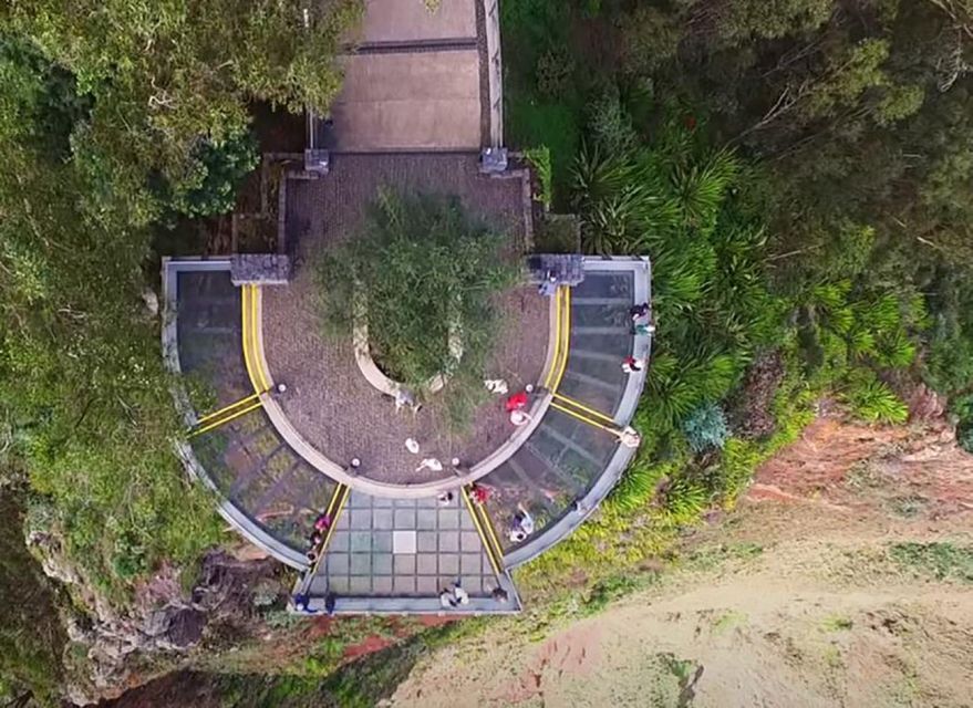Madeira: Vineyard Tour w/ Wine Tasting & Skywalk - Who this tour is best for