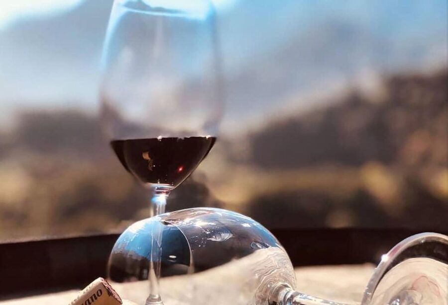 Madeira: Vineyard Tour w/ Wine Tasting & Skywalk - Weather and comfort tips that keep the day smooth