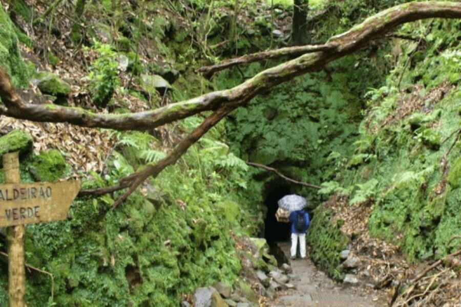 Madeira: Walking Tour - Queimadas / Caldeirão Verde - Who should book this Queimadas / Caldeirão Verde walk