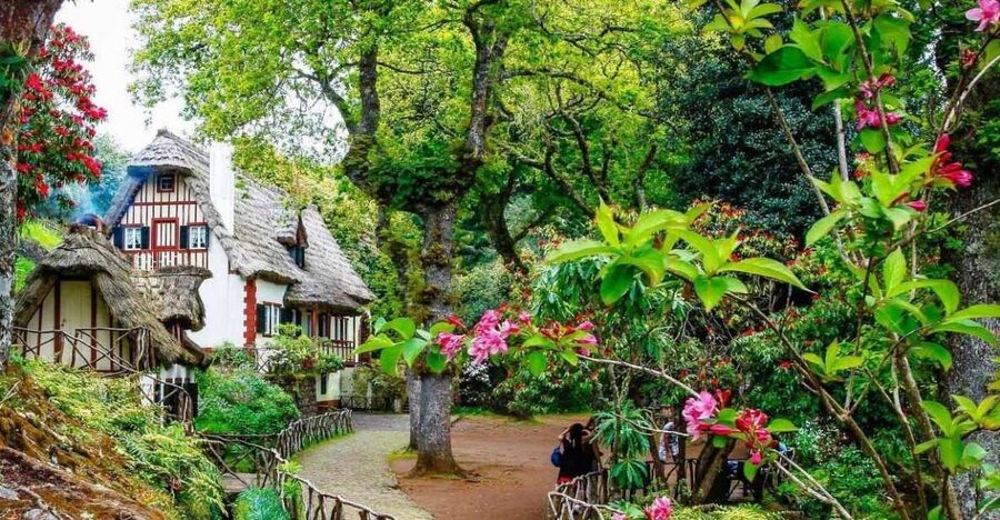 Madeira: Walking Tour - Queimadas / Caldeirão Verde - The Laurissilva-style walking: the green that changes your pace