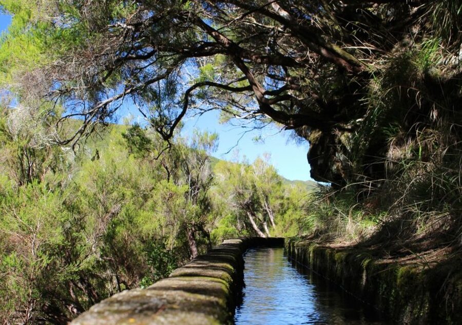 Madeira : Walking Tour-Rabaçal /25 Fontes - Should you book the Rabaçal / 25 Fontes walking tour?