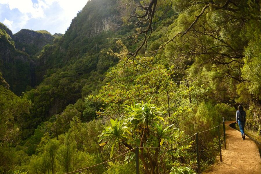 Madeira Walks - Rabaçal and the 25 Fountains - Key highlights that make this walk worth it