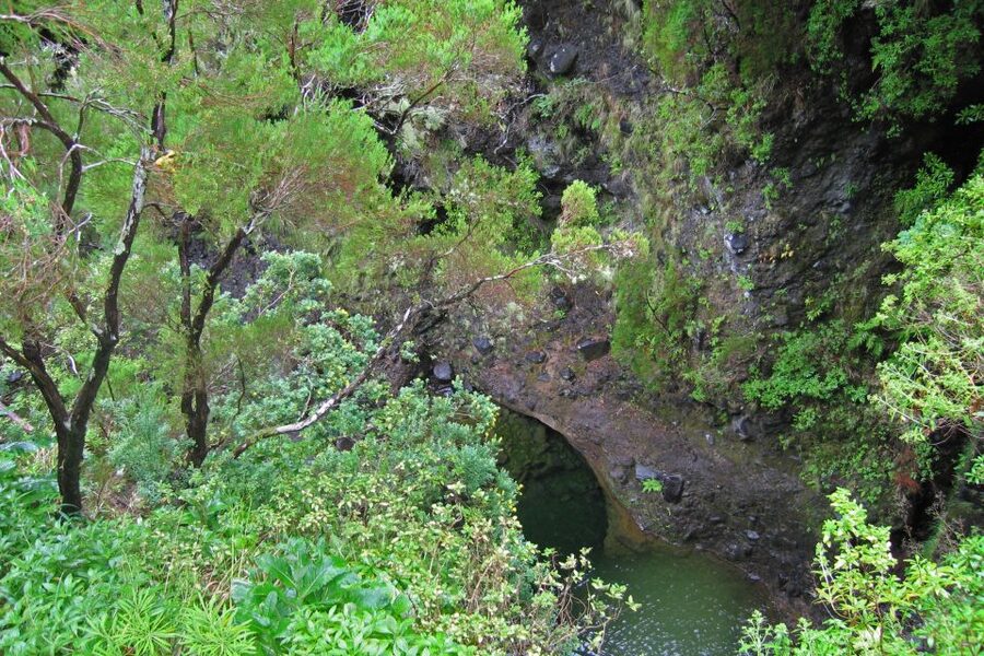 Madeira Walks - Rabaçal and the 25 Fountains - Who should book this tour, and who should skip it?