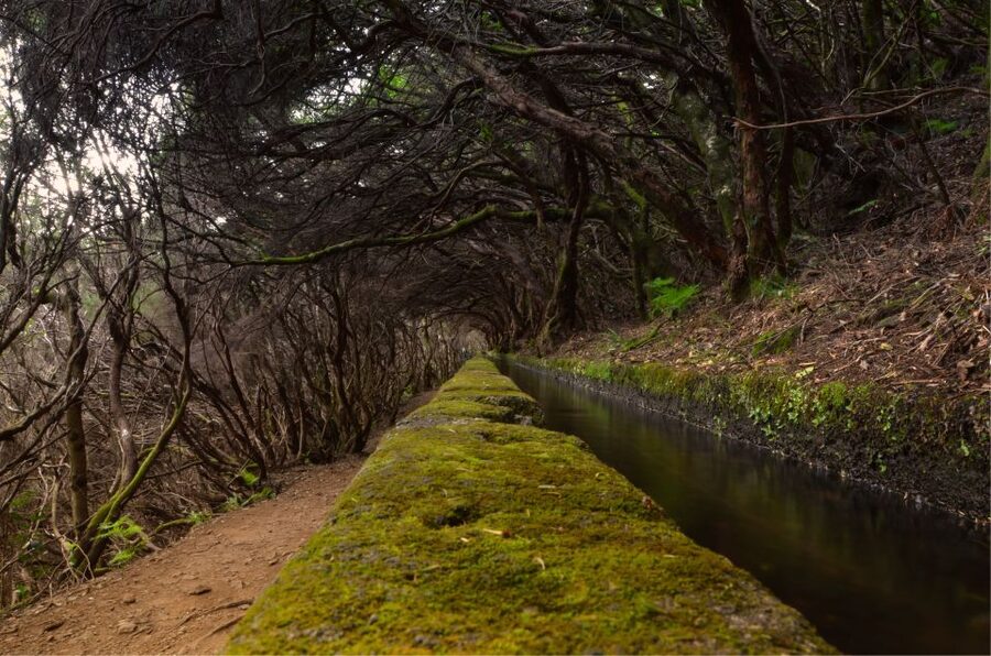 Madeira Walks - Rabaçal and the 25 Fountains - The 25 Fountains stop: what that water-and-sound moment really feels like