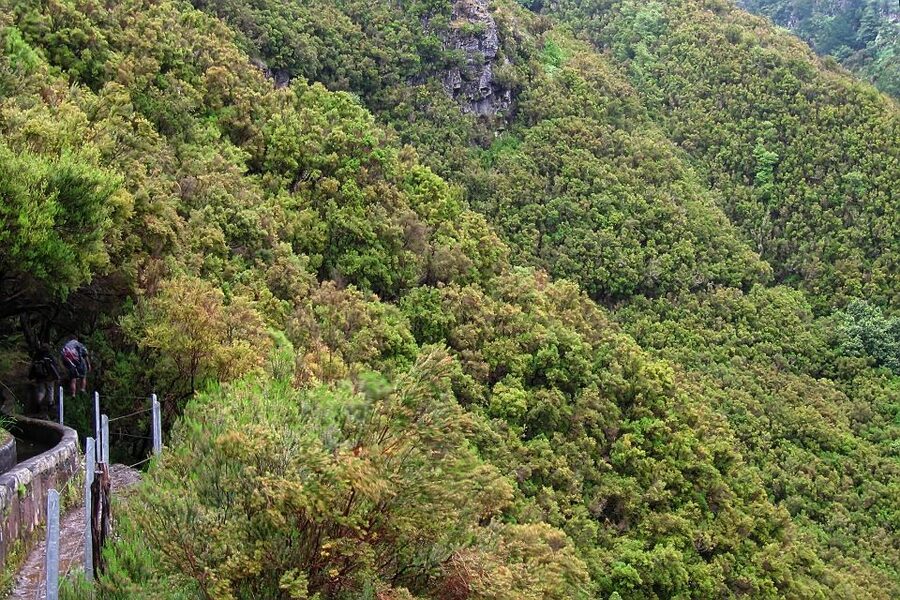 Madeira Walks - Rabaçal and the 25 Fountains - Café breaks: short stops that keep the day human