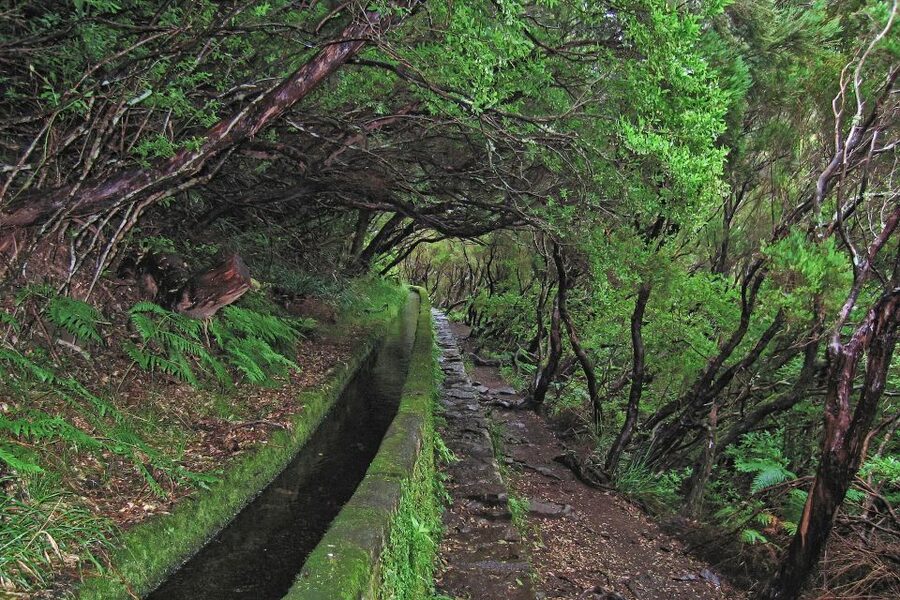 Madeira Walks - Rabaçal and the 25 Fountains - What to expect on your feet: pace, steps, and slippery ground