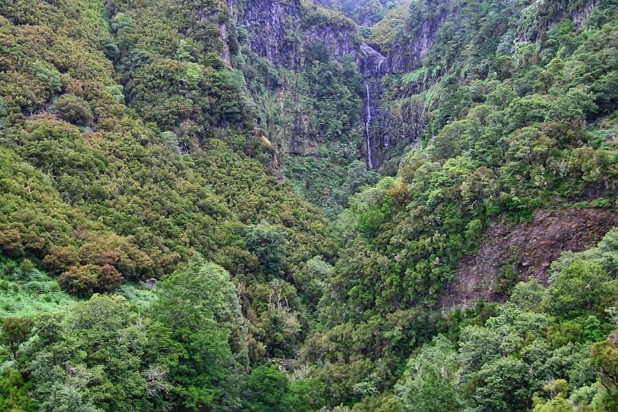 Madeira Walks - Rabaçal and the 25 Fountains - Price and value: does $50 make sense for an 8-hour water-and-steps day?