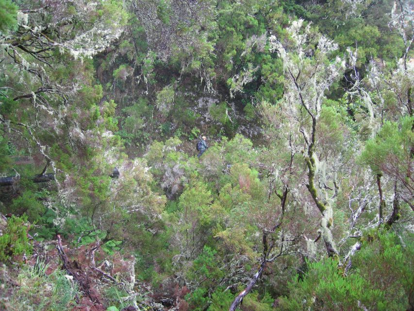 Madeira Walks - Rabaçal and the 25 Fountains - Packing checklist that actually matches the day