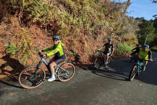 Madeira West Coast E-Bike Tour - Price and value: what $75.63 gets you (and what you’ll add)