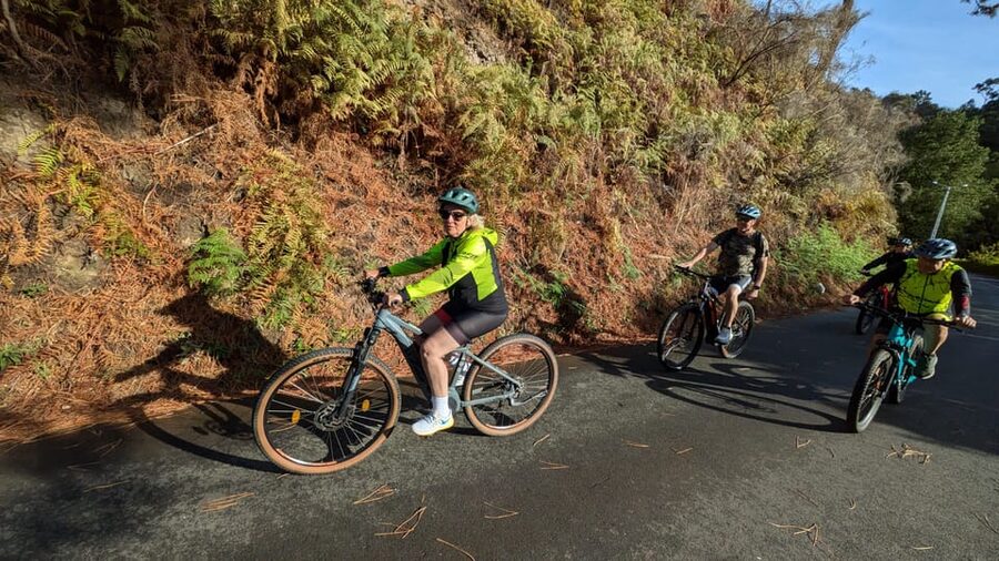Madeira West coast: Guided Sightseeing E-Bike Tour - Ponta do Pargo: cafes, the church, and a descent toward the sea