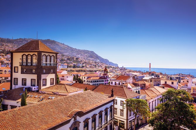 Madeira West Island Full Day Small-Group Tour from Funchal - Guide and driving: why a pro matters on Madeira