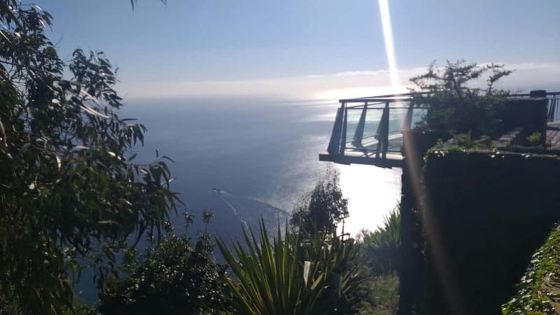 Madeira West Island Full-Day Tour with Fanal Forest - Ribeira da Janela: window rock, old man of the sea, and coast theatrics