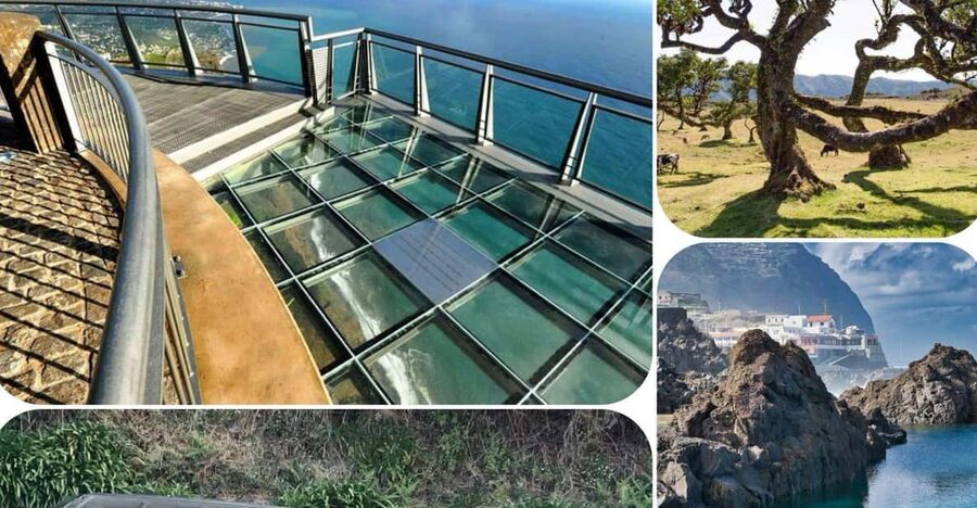 Madeira: West Tour With Guide Fanal Forest SykWalkExperience - Cabo Girão Sea Cliff and the Skywalk: The Tallest View That Defines the West