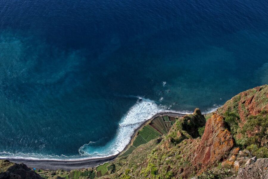 Madeira: Western Madeira Guided Trip & Fanal Mystic Forest - Practical tips to make the day feel smooth