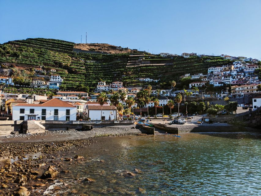 Madeira: Western Madeira Guided Trip & Fanal Mystic Forest - Price and logistics: what $35 is really buying