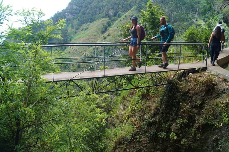 Madeira: Wet your hair in the amazing Levada Nova / Moinhos - How Pickup Works from Caniço, Funchal, and Nearby Towns
