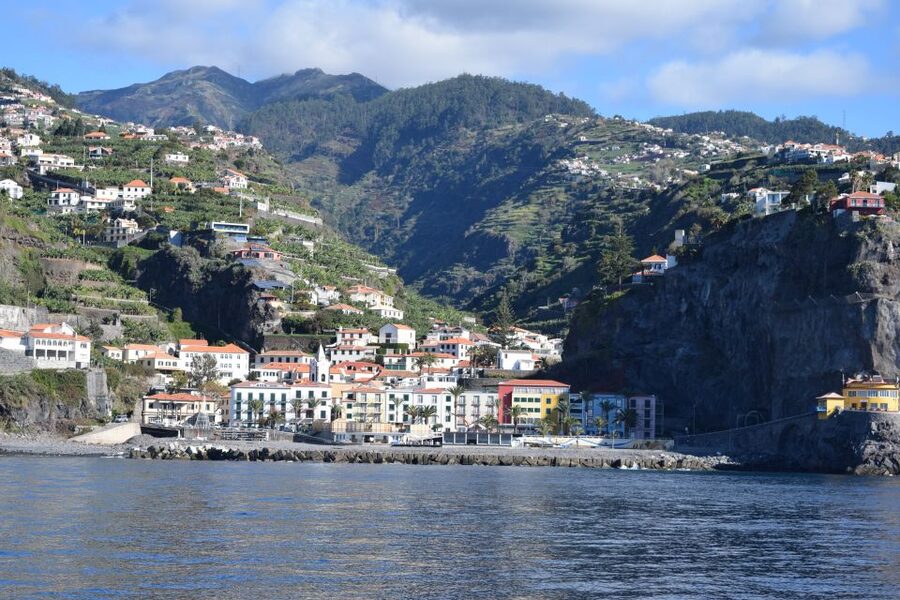 Madeira: Whale and Dolphin Watching Private Cruise - Who this Madeira cruise suits best (and who should rethink it)