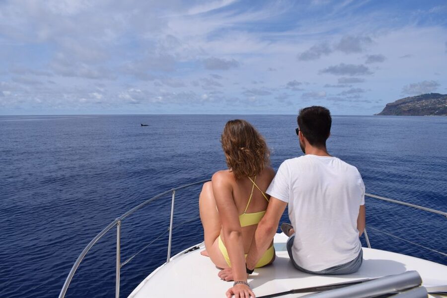 Madeira: Whale and Dolphin Watching Private Cruise - Practical tips to improve your odds and stay comfortable