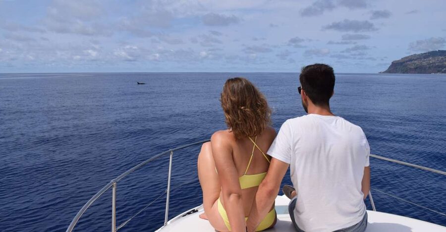 Madeira: Whale and Dolphin Watching Private Cruise - Crew and spotter teamwork: how you search without being invasive