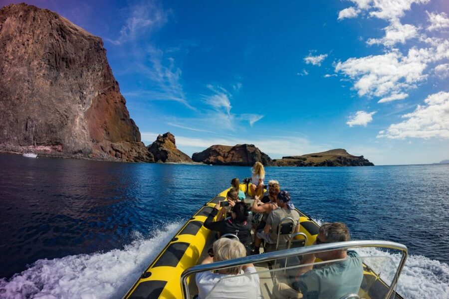 Madeira: Whale and Dolphin Watching Tour - From the marina office to Quinta do Lorde: how the day starts