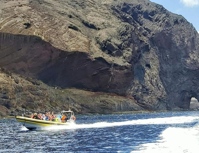 Madeira: Whale and Dolphin Watching Tour - Summer upgrade: snorkeling and swimming stop at Ponta de São Lourenço