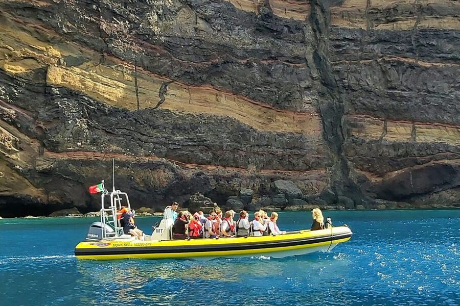 Madeira: Whale and Dolphin Watching Tour - Price and value: is $70 per person worth it?