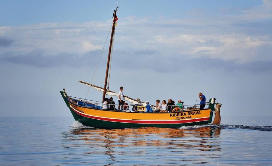 Madeira: Whale Watching Excursion in a Traditional Vessel - Timing, sea conditions, and why whales sometimes stay quiet