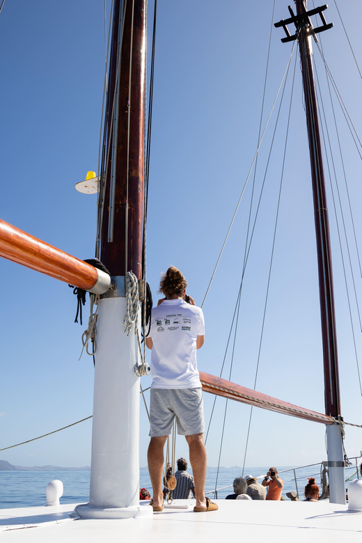 Madeira : Whales and Dolphins wooden boat excursion - Crew and English live guide: why this tour works even when seas are tricky