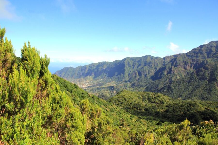 Madeira: Wine Safari Jeep Tour with Local Guide - Pickup in Funchal: start easy, focus on the day