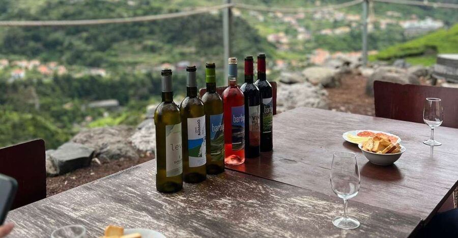 Madeira: Wine Tasting Guided Tour, Jeep Safari, & Viewpoints - Why this Madeira tour mixes cliffs, off-road, and wine