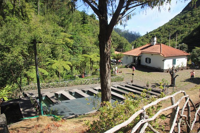 Magnificent East Tour - Balcões de Ribeiro Frio: Forest Edges, a Trout Farm, and Photo-Friendly Timing