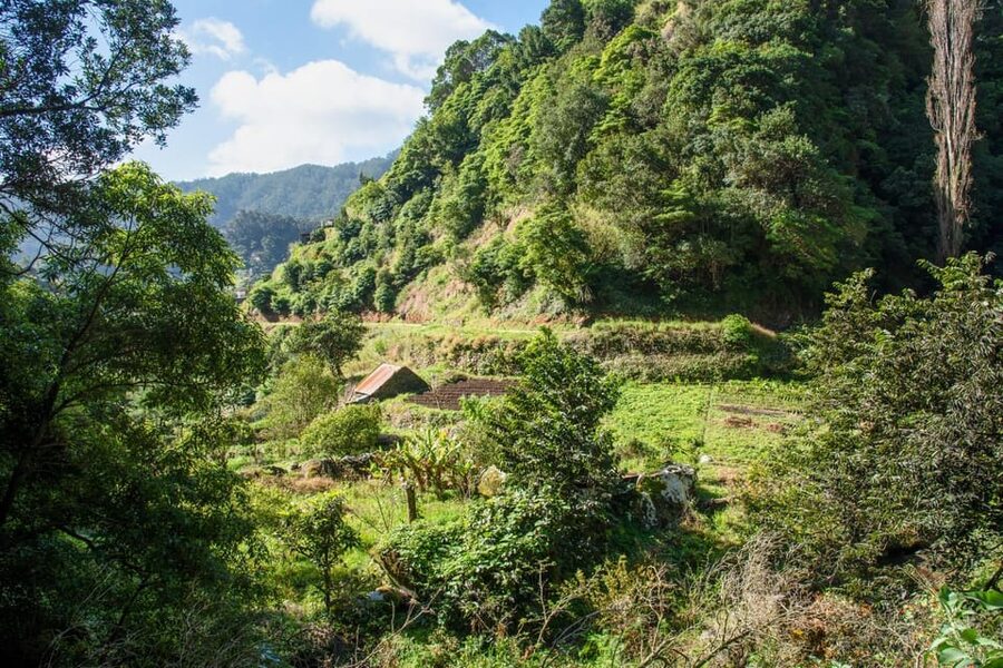 Maroços Madeira Island Levada Walk - Key highlights at a glance