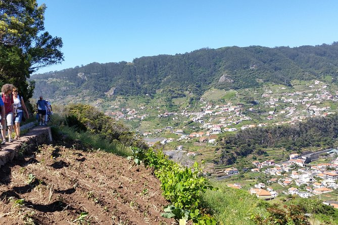 Maroços - Mimosa Valley - Key Things I’d Bookmark Before You Go