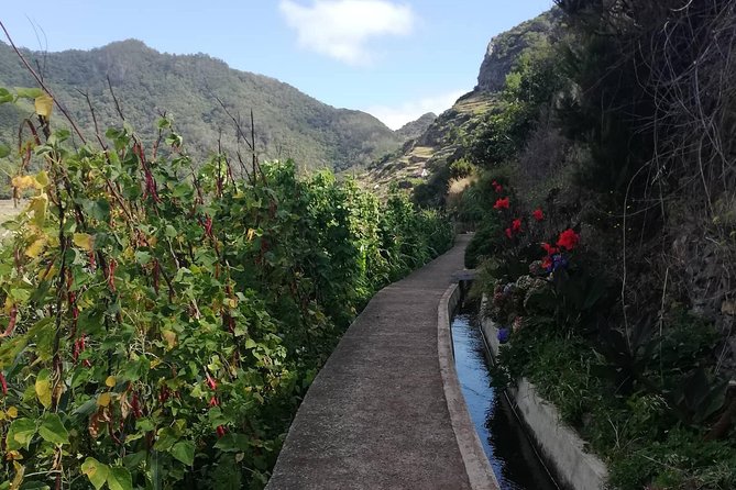 Maroços - Mimosa Valley - The guide and the small-group advantage (plus one sound-related catch)