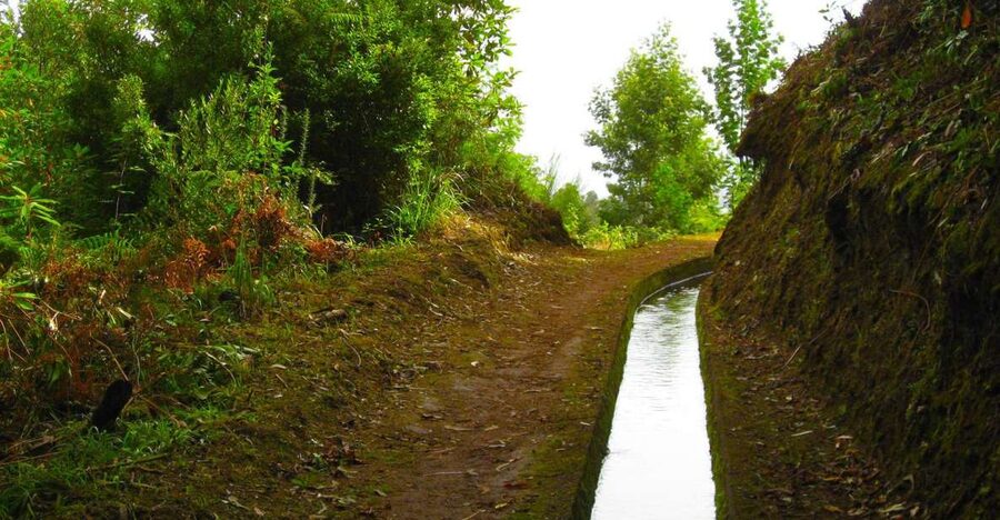 Maroços / Mimosa Valley - Levada Walk - Why Machico’s Mimosa Valley makes this Levada walk feel real