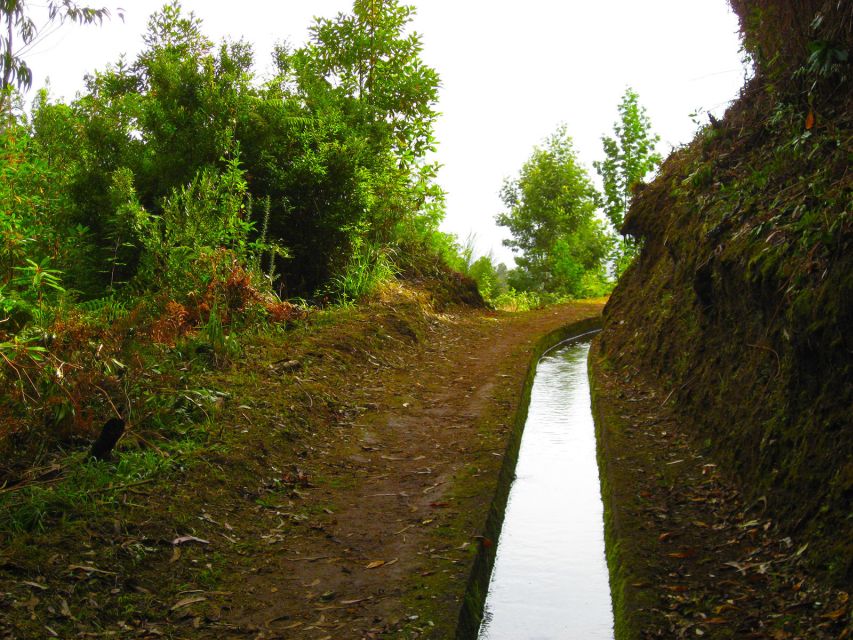 Maroços / Mimosa Valley - Levada Walk - Following Levada dos Maroços: crops, irrigation, and the 6 km rhythm