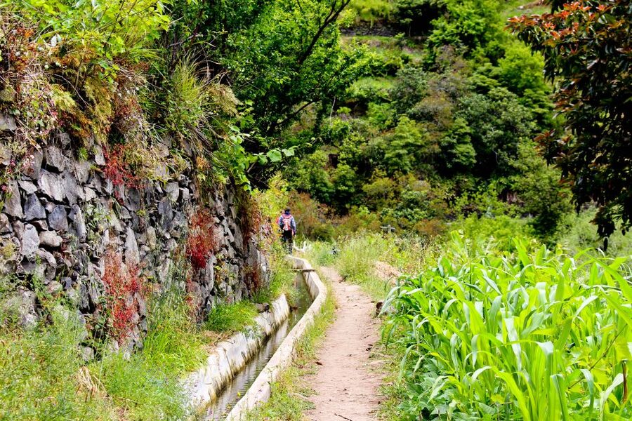 Maroços / Mimosa Valley - Levada Walk - What to bring (and how to walk this route comfortably)