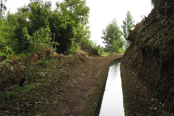 Maroços Mimosa Valley Levada Walk from Funchal - Key Highlights You’ll Care About