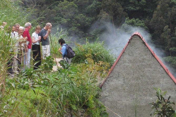 Maroços Mimosa Valley Levada Walk from Funchal - What to Bring (and What to Skip)