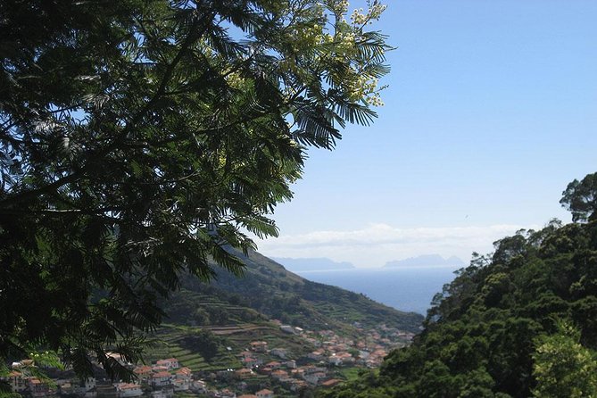 Maroços Mimosa Valley Levada Walk from Funchal - Getting There: Pickup, Timing, and the Easy Start