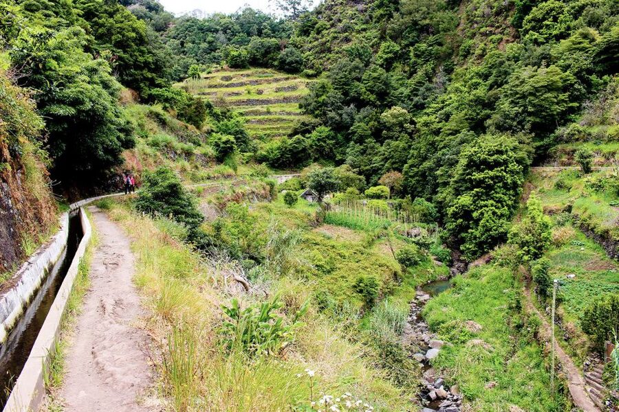 Maroços / Mimosa Valley - Levada Walk - Pickup and getting started around Funchal, Câmara de Lobos, and Caniço