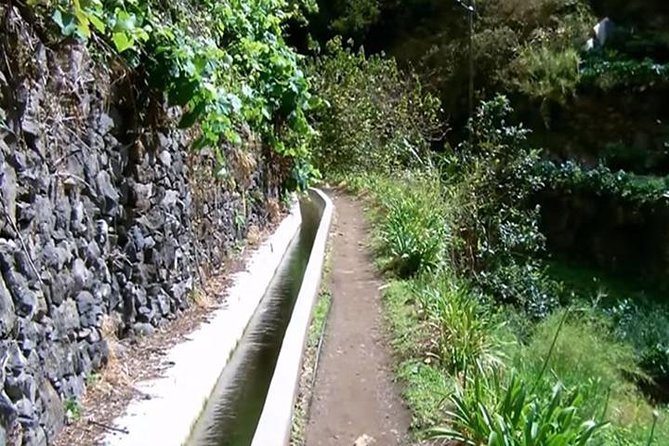 Mimosa Valley Walk - Key things I’d bet on before you book