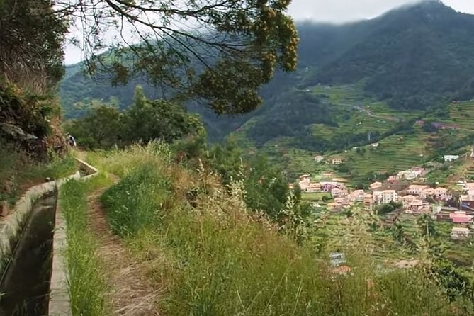 Mimosa Valley Walk - Mimosa Valley Levada: why this walk works so well