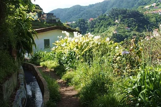 Mimosa Valley Walk - Price and value: is $42.33 fair for a 4-hour guide walk?